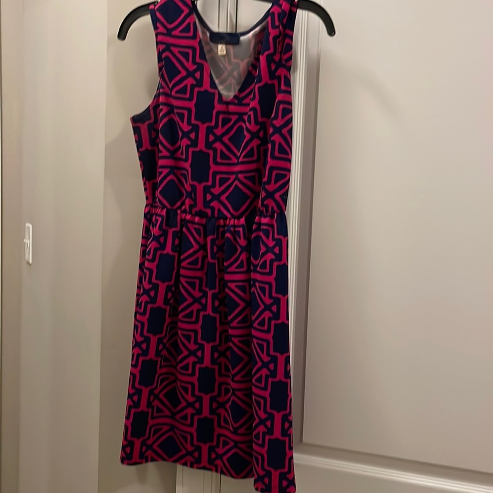 Pink & Navy Dress